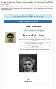 annotation microworkers